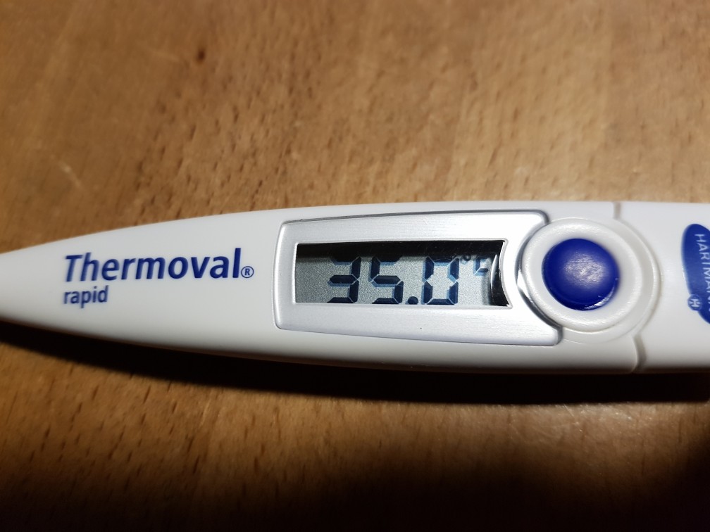 Fieberthermometer