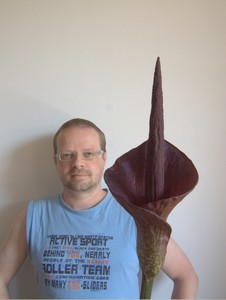 Chrisu mit Regenbaum