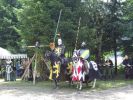 ehrenberg_2010-07-25_0248.JPG