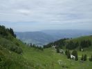 bezau_2011-07-03_0098.JPG