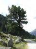 Dateiname=amberger_2006-08-17_0092.jpg
Dateigröße=42KB
Abmessungen: 360x480
hinzugefügt am: 20. August 2006 amberger_2006-08-17_0092.jpg