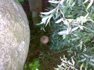 cache_584_2011-08-09_04.jpg