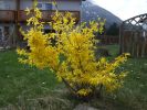 Dateiname=garten_2009-04-13_001.jpg
Dateigröße=443KB
Abmessungen: 700x525
hinzugefügt am: 08. August 2009 garten_2009-04-13_001.jpg