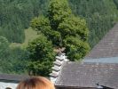 Dateiname=chor_084.jpg
Dateigröße=56KB
Abmessungen: 614x460
hinzugefügt am: 23. Juli 2004 chor_084.jpg