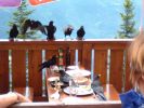 Dateiname=chor_193.jpg
Dateigröße=40KB
Abmessungen: 614x460
hinzugefügt am: 23. Juli 2004 chor_193.jpg