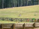 mtb_19.jpg