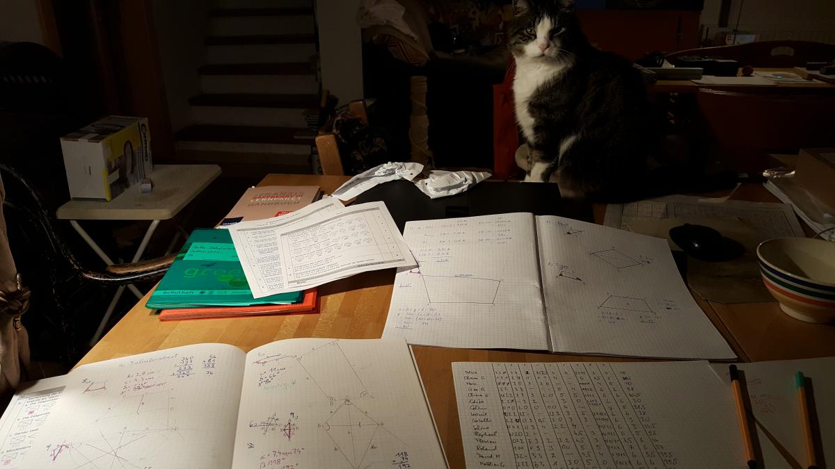 Mathematik Schularbeit mit Pauli dem Kater