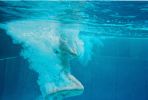 Schwimmtage_1_29.JPG
