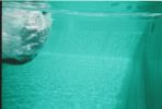Dateiname=Schwimmtage_3_23.JPG
Dateigröße=1192KB
Abmessungen: 2161x1452
hinzugefügt am: 08. Juli 2025 Schwimmtage_3_23.JPG