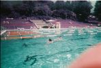 Dateiname=Schwimmtage_3_24.JPG
Dateigröße=1312KB
Abmessungen: 2161x1452
hinzugefügt am: 08. Juli 2025 Schwimmtage_3_24.JPG